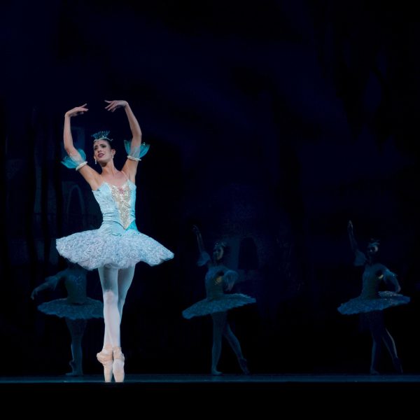 Ballet Ballerina Performance Don Quixote 46158